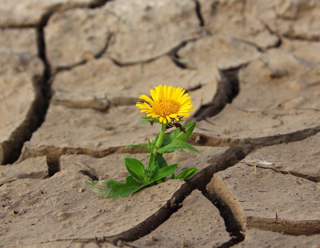 Overcome-negative-thoughts