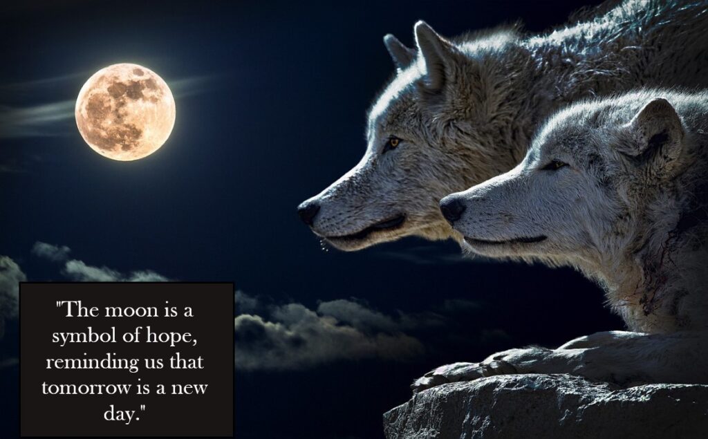 Goodnight-moon-quotes