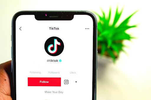 Grow-tiktok-followers