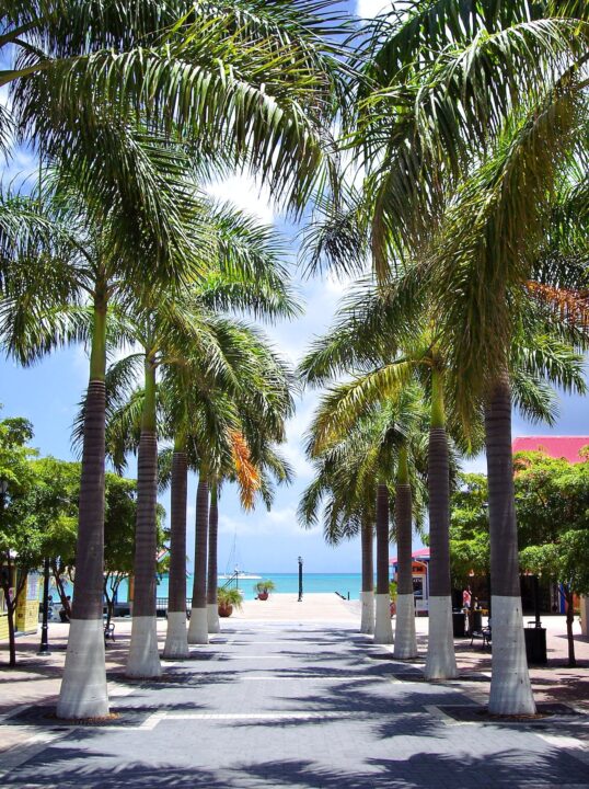 Carribean