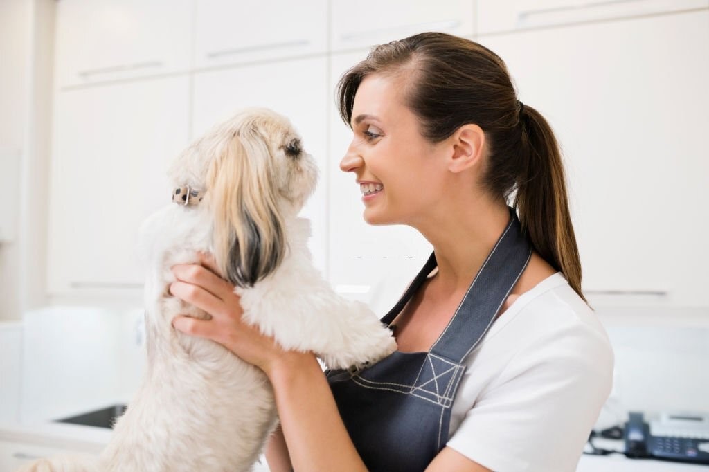 Professional Dog Grooming Courses 