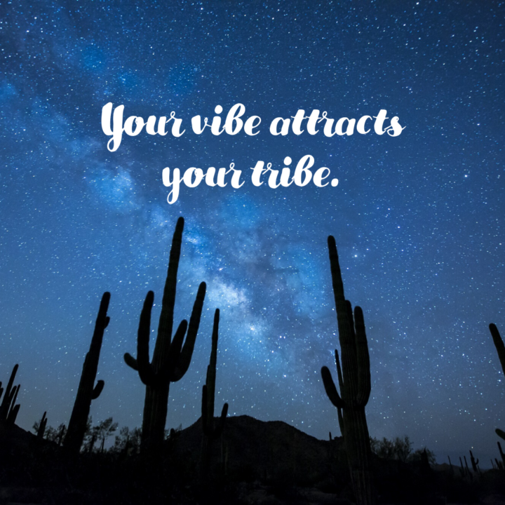 Your-Vibes-Attract-Your-Tribe