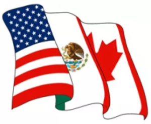 NAFTA Visa - Temporary