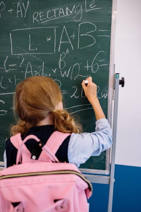 Who-is-a-Logical-Learner?
