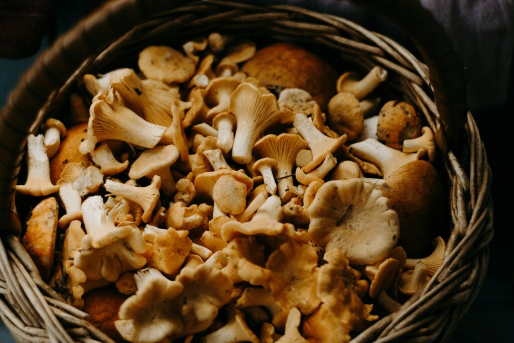 Is-it-better-to-freeze-mushroom-raw-or-cooked?