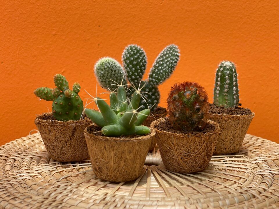 Cute-cheap-ornaments