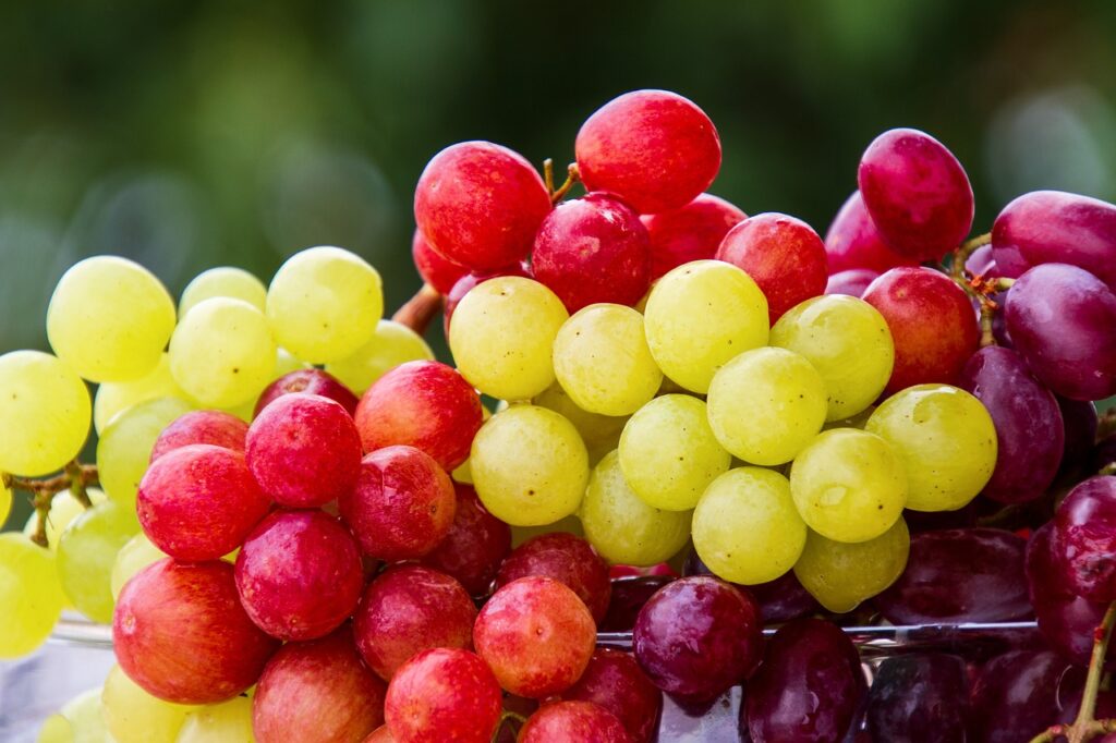 Fruits-native-to-North-America